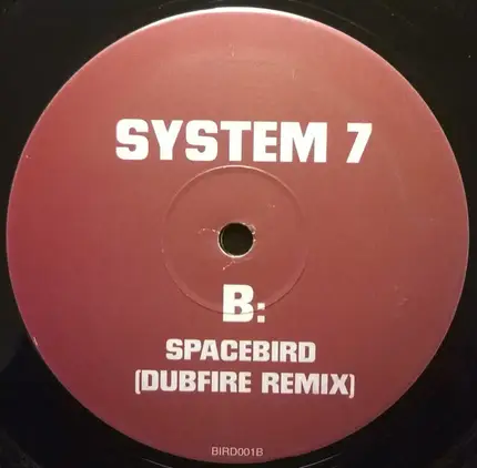 Steve Angello & Sebastian Ingrosso / System 7 - 555 / Spacebird (Dubfire Remix)