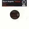 12'' - Steve Angello - Voices