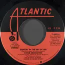 7inch Vinyl Single - Steve Arrington - Dancin' In The Key Of Life / Brown Baby Boy