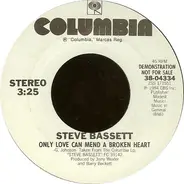 Steve Bassett - Only Love Can Mend A Broken Heart