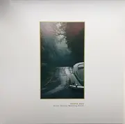 Double LP - Steve Bug - Never Ending Winding Roads