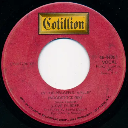 Steve Duboff - In The Peaceful Valley (Woodstock '69)