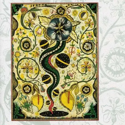 Steve Earle - I Feel Alright