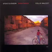 Steve Eliovson , Collin Walcott - Dawn Dance