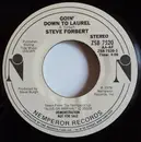 7inch Vinyl Single - Steve Forbert - Goin' Down To Laurel