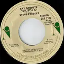 7inch Vinyl Single - Steve Forbert - Say Goodbye To Little Jo / You're Darn Right