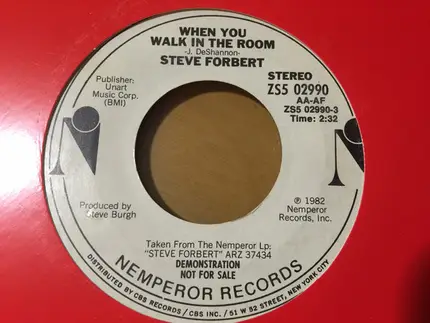 Steve Forbert - When You Walk In The Room