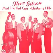 Steve Gibson - Blueberry Hill