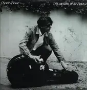 STEVE GUNN - Unseen In Between