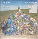 LP & MP3 - Steve Gunn - Way Out Weather