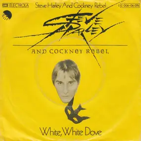 Steve Harley - White, White Dove