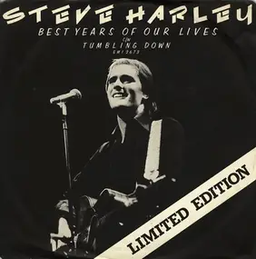 Steve Harley - Best Years Of Our Lives