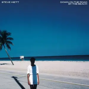 Steve Hiett - Down On The..