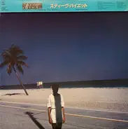 Steve Hiett - Down On The Road By The Beach