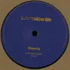 12inch Vinyl Single - Steve Huerta - Lounge Lizard - EP