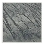 Headcount Records/SJ Prod/Cargo