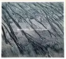 CD - Steve Jansen - Tender Extinction