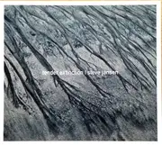 CD - Steve Jansen - Tender Extinction