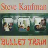 CD - Steve Kaufman - Bullet Train