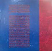 Double LP - Steve Kilbey - Remindlessness