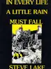 12inch Vinyl Single - Steve Lake - In Every Life A Little Rain Must Fall