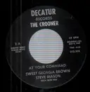 7inch Vinyl Single - Steve Mason - At Your Command Sweet Georgia Brown / Poor Butterfly