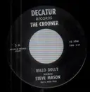 7inch Vinyl Single - Steve Mason - Hello Dolly / Dinah