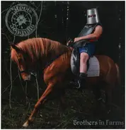 Steve 'n' Seagulls - Brothers in Farms