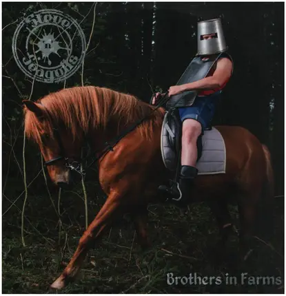 Steve 'n' Seagulls - Brothers in Farms