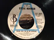 Steve Norman - Mister, Will You Be My Valentine