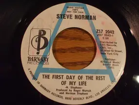 Steve Norman - The First Day Of The Rest Of My Life