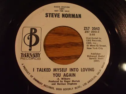 Steve Norman - The First Day Of The Rest Of My Life