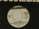7inch Vinyl Single - Steve Perry - Strung Out