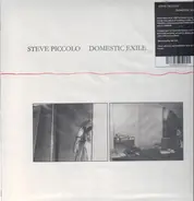 Steve Piccolo - Domestic Exile