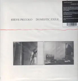 Steve Piccolo - Domestic Exile