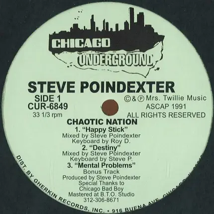 Steve Poindexter - Chaotic Nation