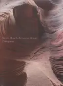 Steve Roach - Terraform