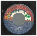 7inch Vinyl Single - Steve Sawyer - Hey Fonzie (Add Your Name To The List Of American Heroes) - Mono / Promo