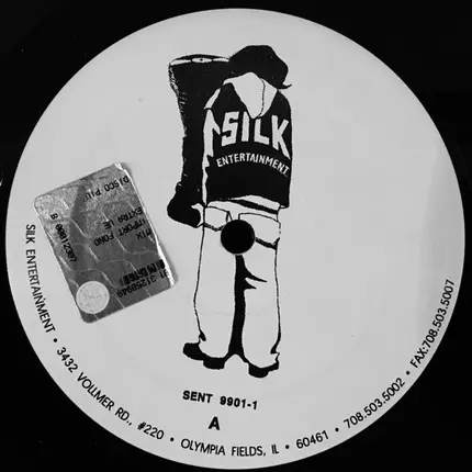 Steve "Silk" Hurley & Kelly G - Silk Entertainment Sampler
