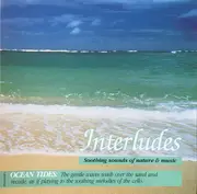 CD - Steven Gruskin - Interludes (Ocean Tides)