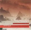 CD - Steven Gruskin - Interludes (Gentle Rain)