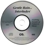 CD - Steven Gruskin - Interludes (Gentle Rain)