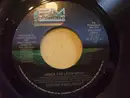 7inch Vinyl Single - Steven Paul-Perry - Under The Latin Moon