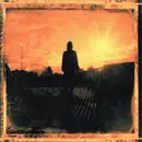 Double LP - Steven Wilson - Grace For Drowning