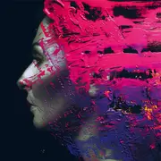 Double LP - Steven Wilson - Hand. Cannot. Erase.