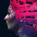 Double LP - Steven Wilson - Hand. Cannot. Erase.