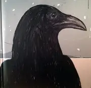 Double LP - Steven Wilson - The Raven That Refused To Sing (And Other Stories)