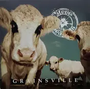 Steve 'n' Seagulls - Grainsville