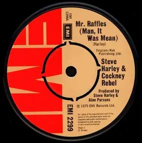 Steve Harley - Mr. Raffles (Man, It Was Mean)