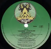 LP - Steve Hillage - Fish Rising